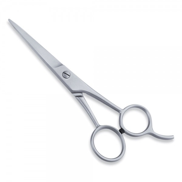 Economy Scissor