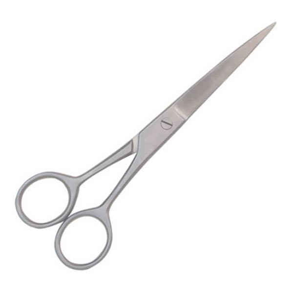 Barber Scissors