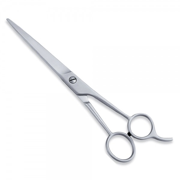 Economy Scissor