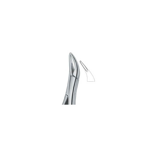 Tooth Ext Forceps Amr