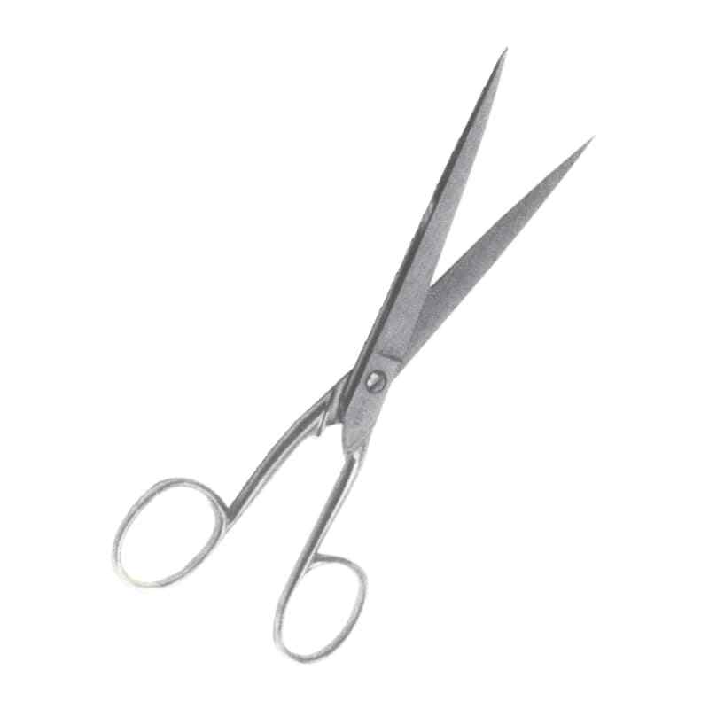 Office Scissors